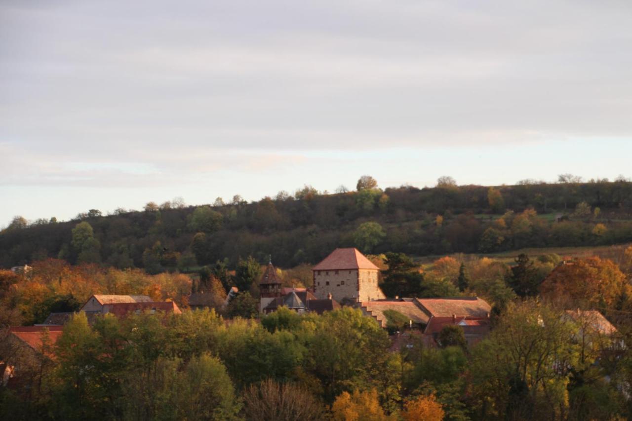 Ferienwohnung Im Schoenen Zellertal Wachenheim an der Weinstrasse Bagian luar foto