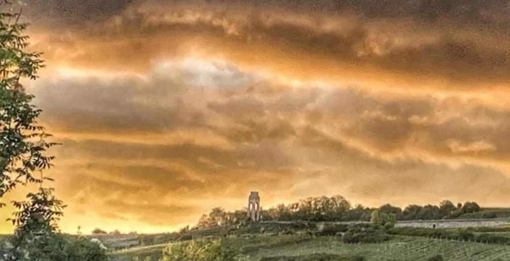 Ferienwohnung Im Schoenen Zellertal Wachenheim an der Weinstrasse Bagian luar foto